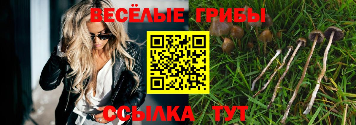 Михайловск  Галлюциногенные грибы GOLDEN TEACHER  Галлюциногенные грибы прущие грибы  Вход с VPN 