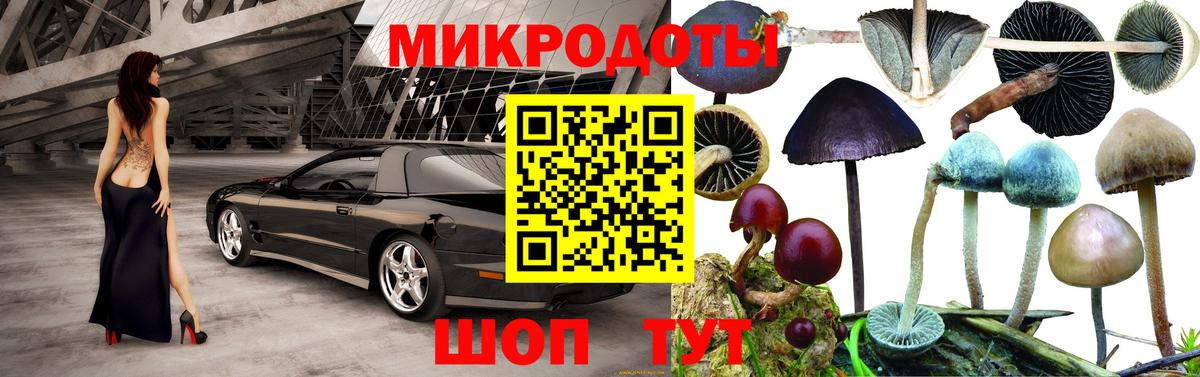 Псилоцибиновые грибы Psilocybine cubensis Михайловск